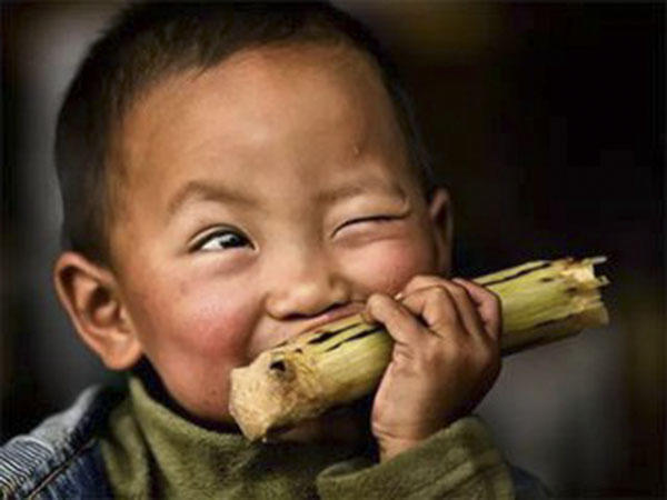 女性吃甘蔗的危害,儿童吃甘蔗的危害