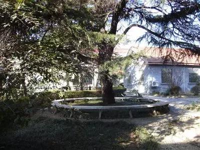 致镇江第一中学：我凭什么忘不了你