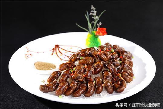 金蝉的养殖方法,金蝉的烹饪方法