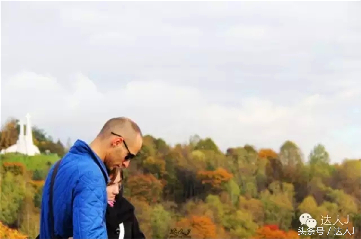 猜猜哪个国家连刺猬都有路牌？