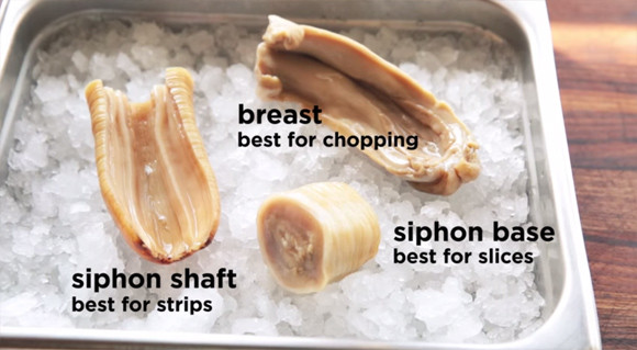 捕捞到各种鱼,捕捞到岸分拣