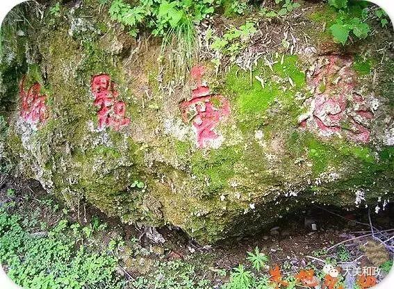 珠山公园旅游攻略,滴珠山公园景区