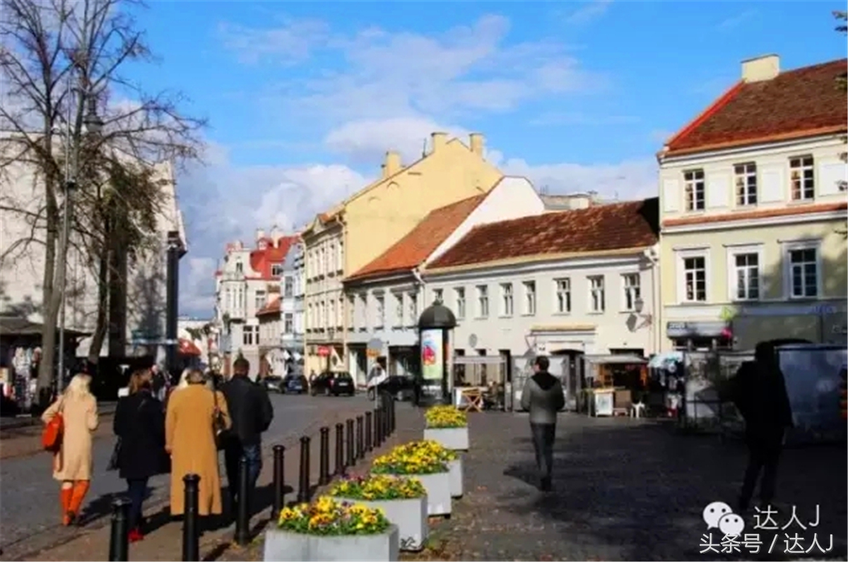 猜猜哪个国家连刺猬都有路牌？