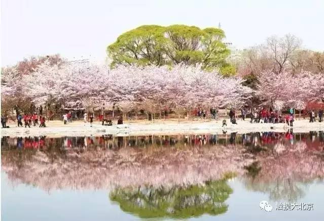 4月整整11天假！瓷器们，这些好消息请查收！