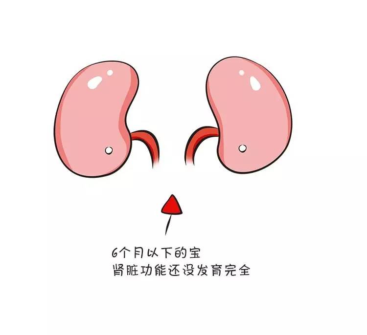 6个月宝宝需要喝水吗,6个月宝宝不喝水有什么妙招