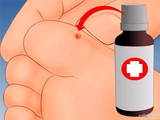 健康之路的中医知识,健康之路营养知识