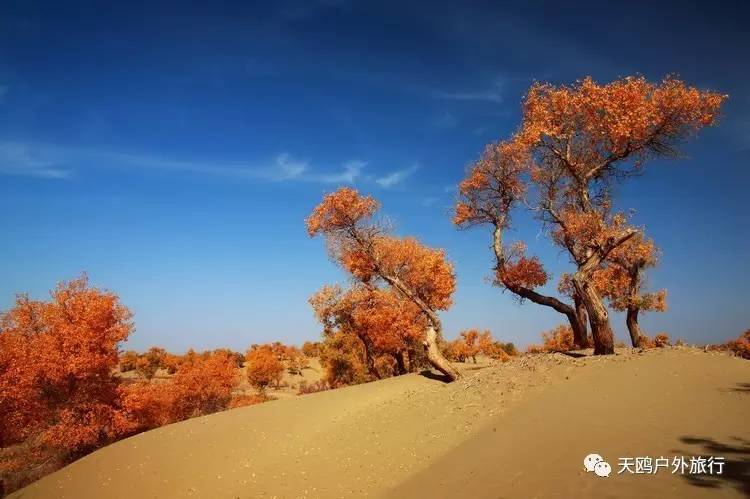 南疆最值得去的几个地方,南疆尉犁的景点