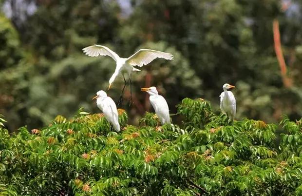 海口游玩攻略必去景点,海口旅游日常攻略大全最新
