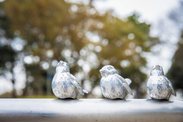 樱花烂漫几多时完整版,日本樱花节赏樱攻略视频大全