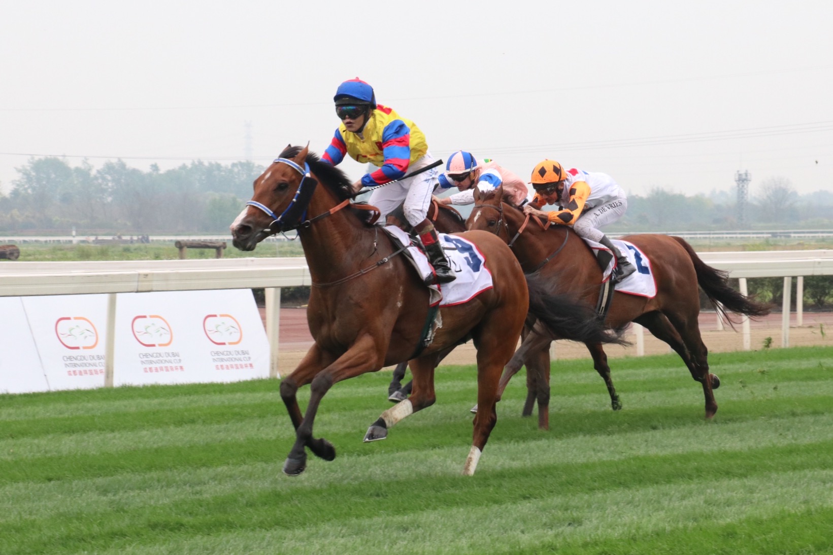 成都迪拜国际杯赛马温江开赛中国选手王文勋首场夺冠