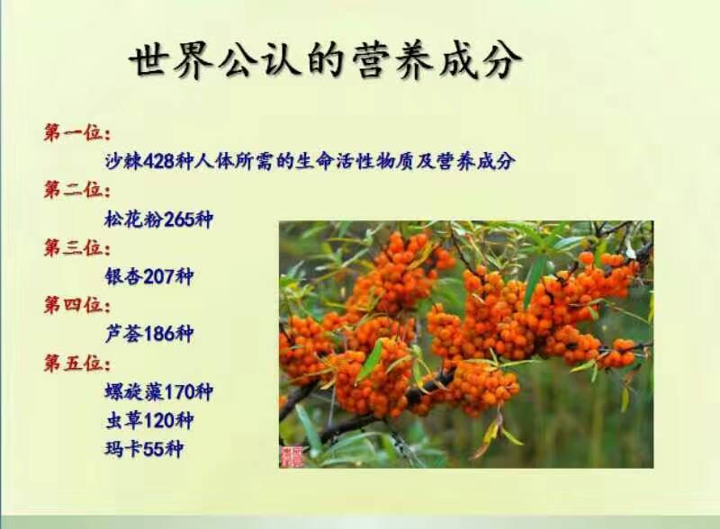 世界上医术最好的医生,世界医术最精湛的医生