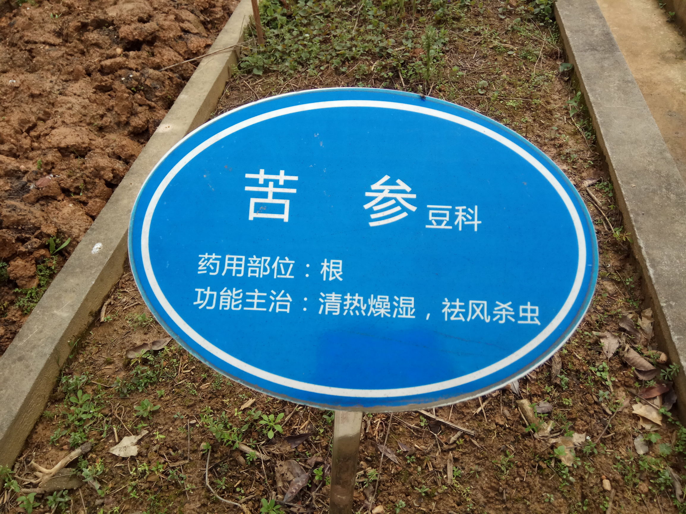 中草药怎么熬,中草药名字