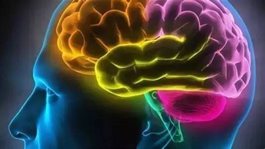 杨老师讲如何培养孩子记忆力,杨老师怎么培养孩子