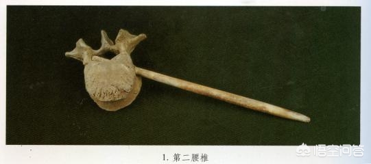 人类细思极恐的历史,人类历史上惨无人道的事件有哪些