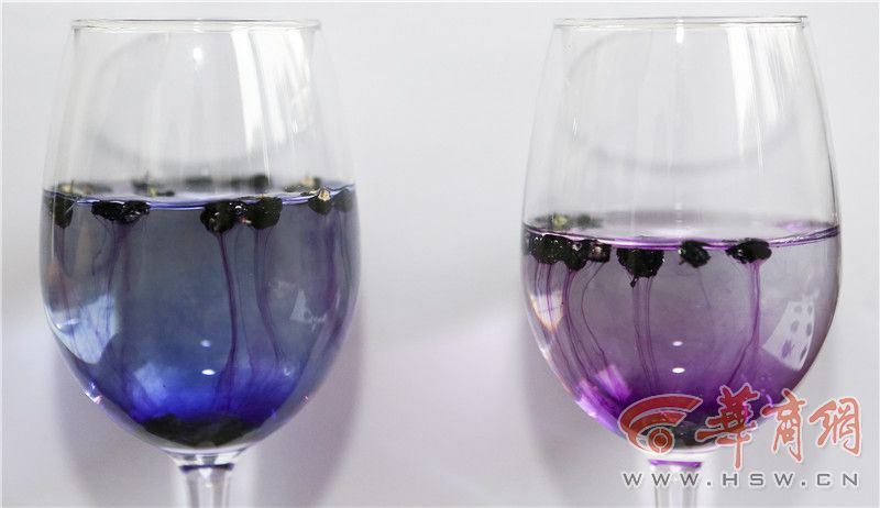 纯野生黑枸杞怎么辨别,市场上假的黑枸杞