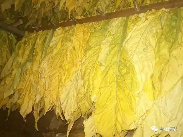 牛人发明全自动卷烟机器视频,牛人自制发明抽烟机