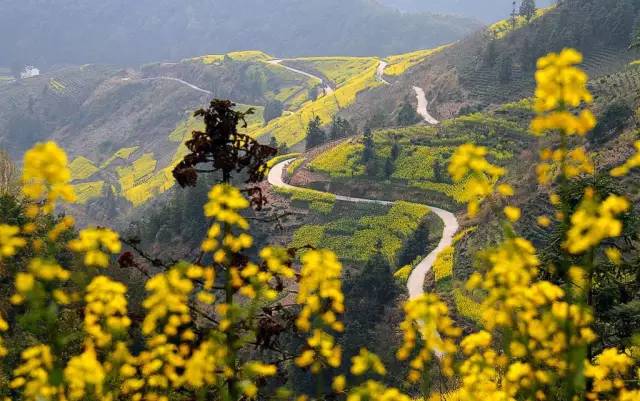 「超实用」清明交通管制信息来了！扫墓怎么走？车停哪儿？这条微信告诉你