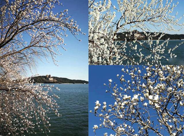 北京清明节出游好去处,清明人少景美的地方