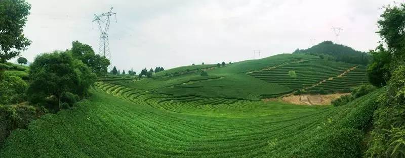 宁德有哪些民族乡,宁德特色村落