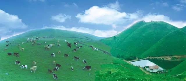 赣州4a级以上国有旅游景区,江西赣州的旅游景区有哪些