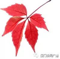 颜值+好春+丽诗，这该会是怎样动人动心的电波之旅！