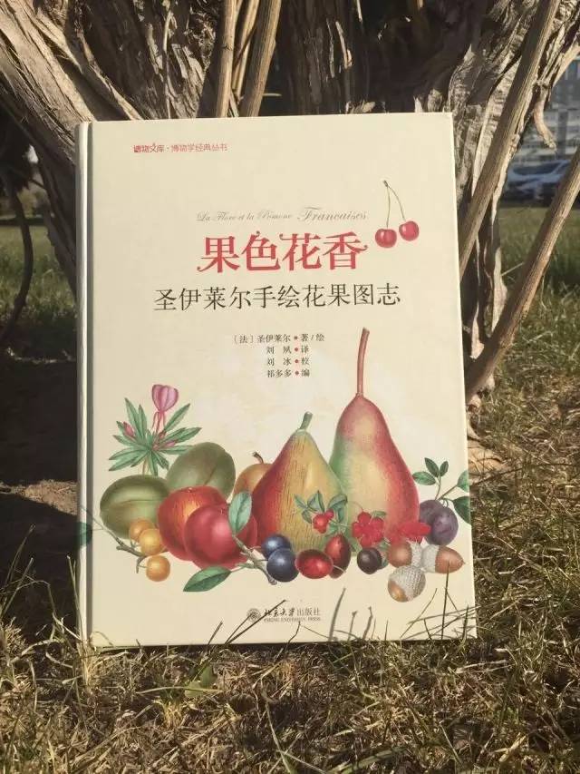 拉开孩子距离的不是智商,拉开孩子智力差距的时间