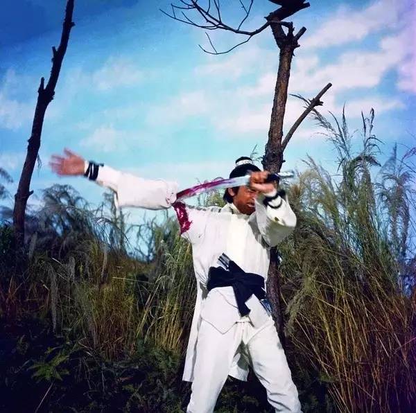 新独臂刀电影完整观看,新独臂刀完整版在线