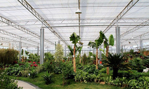 撸起袖子加油干谱写致富新篇章,撸起袖子加油干甩开膀子奔小康