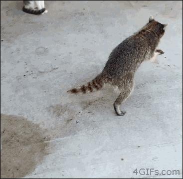 北京人饭桌规矩,老北京人最讲究饭桌上的规矩