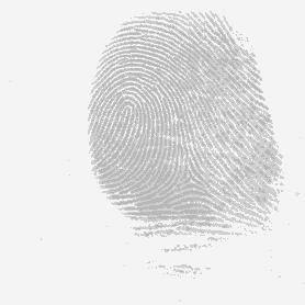 今日头条最奇葩的视频,今日头条最奇葩的事件