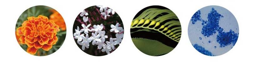 5折福利|专治重度美颜相机依赖症的英国古方药妆