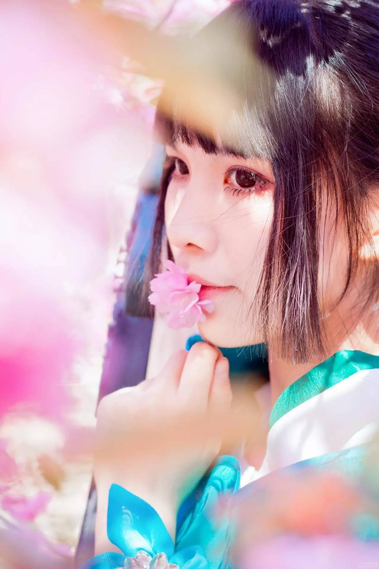 剑三门派招生的阴谋！萝莉师妹哪个你最爱？