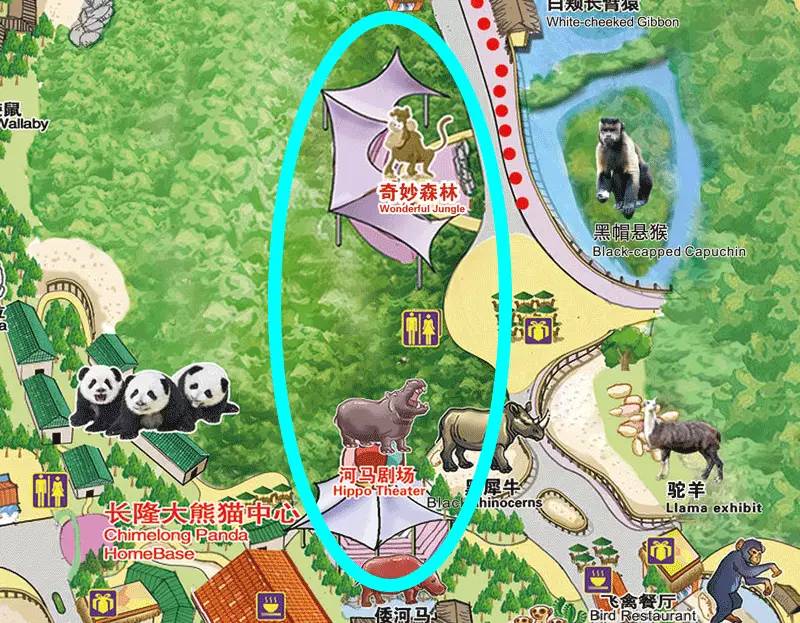 广州长隆野生动物园真实评价,广州长隆野生动物园讲解动物