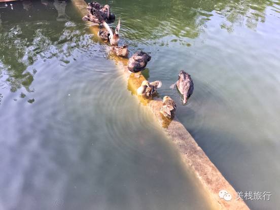 法式生活美学馆,法式生活艺术巡展