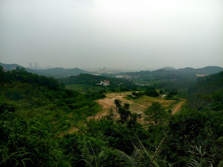 到中山的千年古刹古香林寺旧址周边山林探秘，感觉大自然太美啦