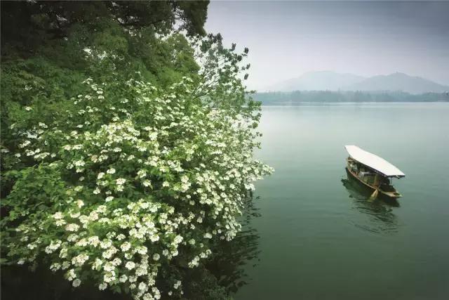 一天游西湖攻略,怎样游西湖十景