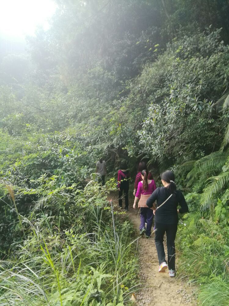 到中山的千年古刹古香林寺旧址周边山林探秘，感觉大自然太美啦