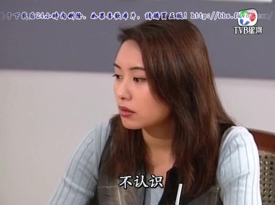 刑事侦缉档案袁天丽马成昌第五集,刑事侦缉档案袁天丽