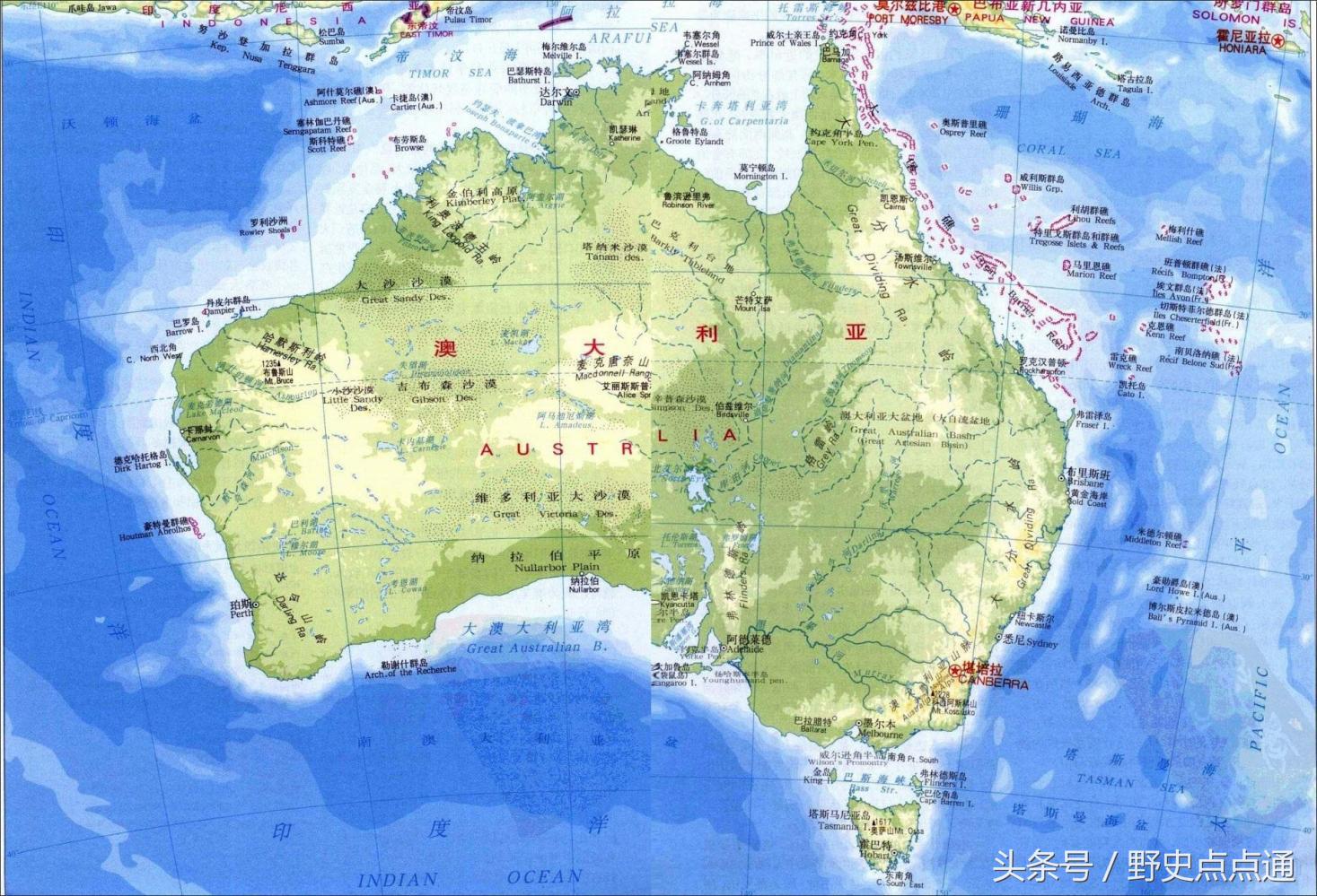 兔子曾给人类带来的灾害,英国人把24只兔子带到澳洲