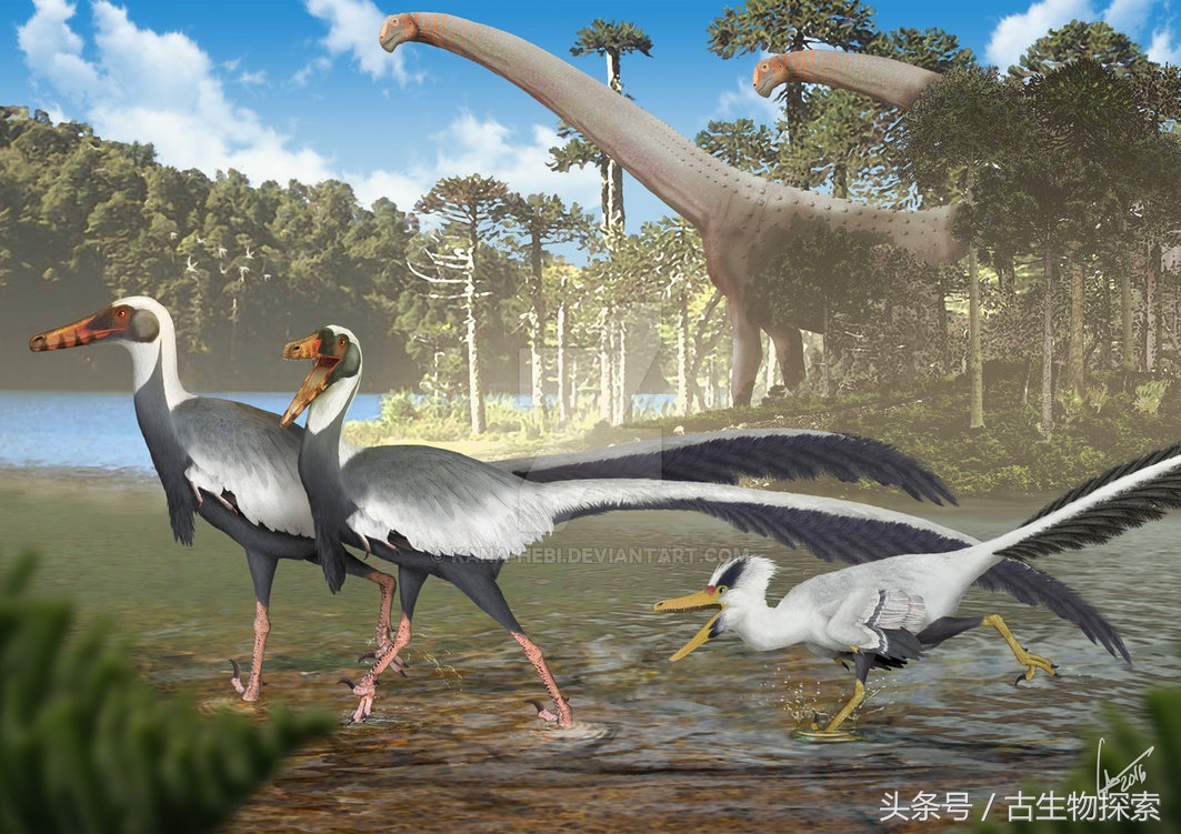 能源巨龙——富塔隆柯龙