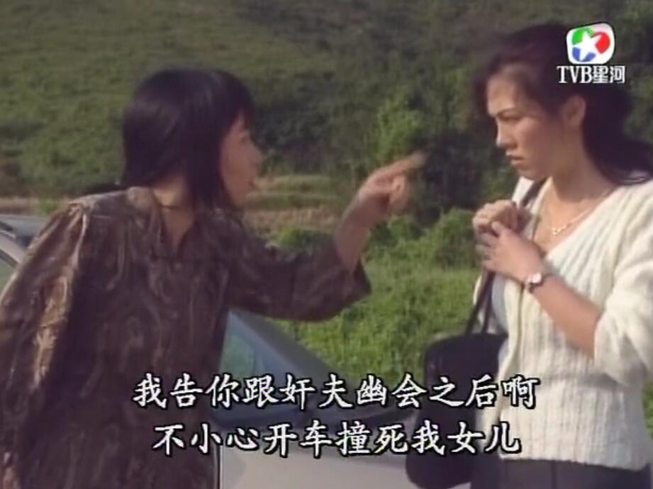 刑事侦缉档案袁天丽马成昌第五集,刑事侦缉档案袁天丽