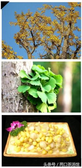 大别山深处的绝美山珍!