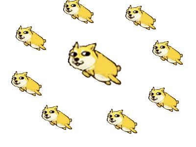 日本土狗为什么那么可爱,日本土狗是柴犬还是秋田犬