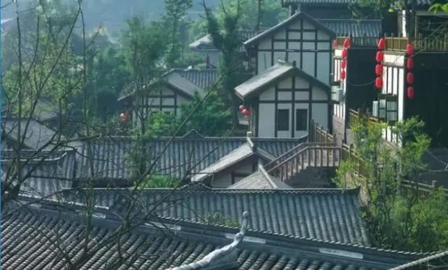 成都附近一小时氧吧,成都周边森林免费氧吧推荐