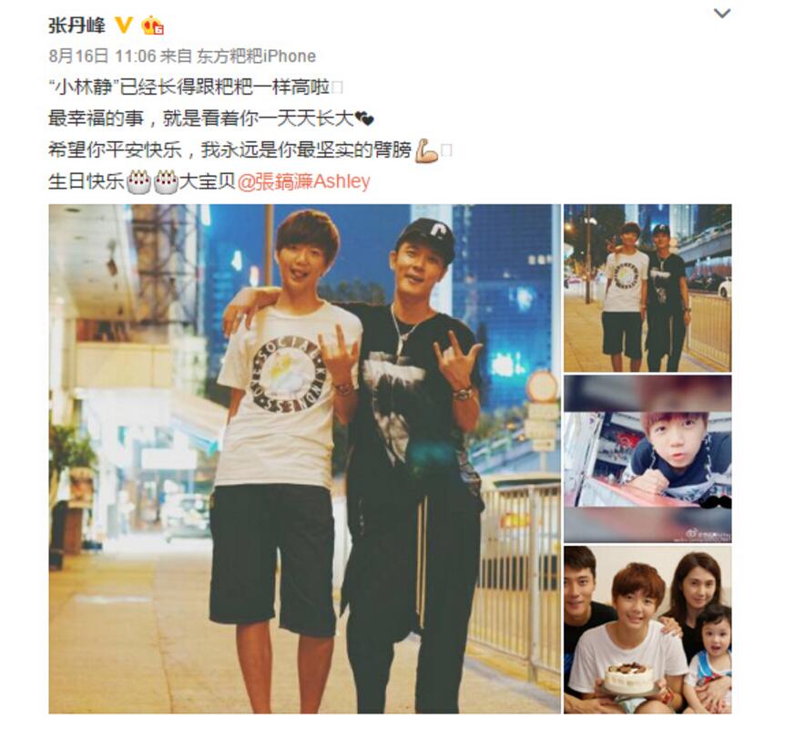 张柏芝王菲谁好看,张柏芝沈殿霞电影