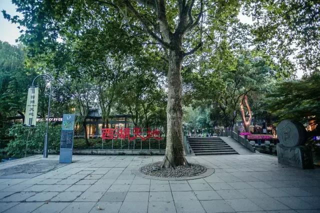 一天游西湖攻略,怎样游西湖十景