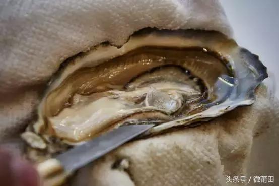 莆田牡蛎吃法,莆田海蛎的美味
