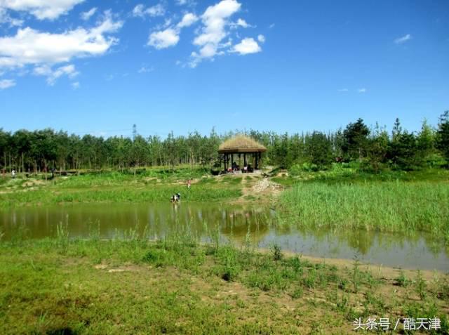 京津周边游玩景点推荐,京津冀附近人少风景好的旅游胜地