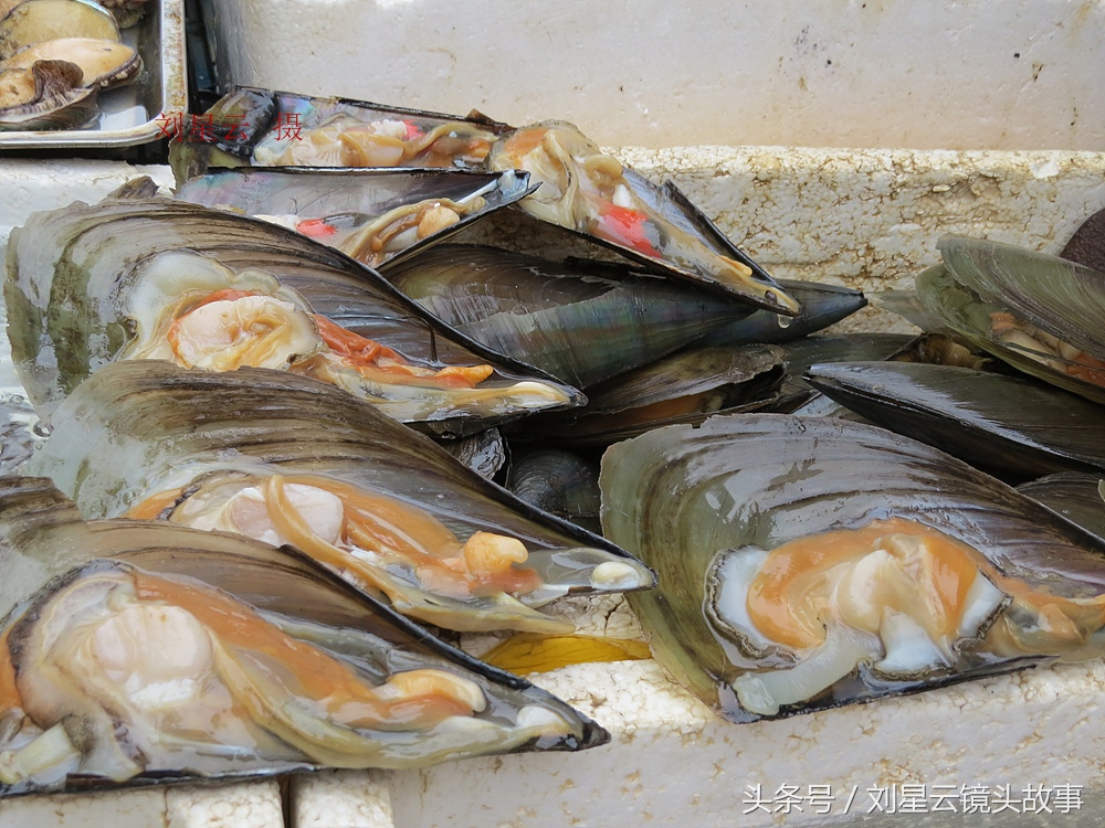 三亚哪里海鲜市场的品种多,三亚海鲜品种大全及介绍