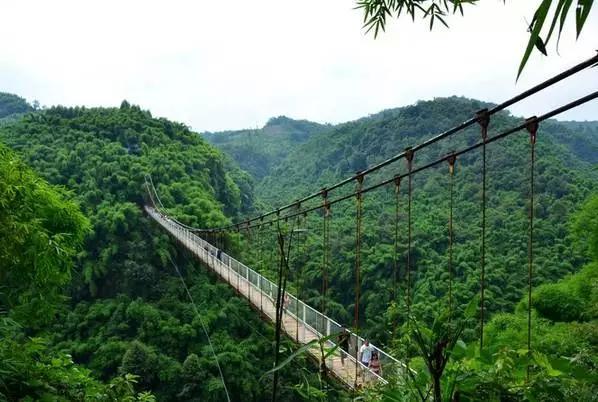 成都附近一小时氧吧,成都周边森林免费氧吧推荐